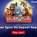 Get 10 No Deposit Wolf Cub Free Spins at CasinoEuro for a Limited time only!