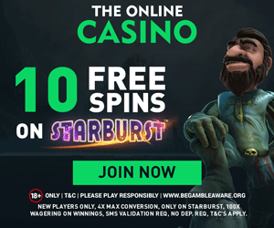 The Online Casino Review
