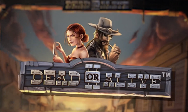 Dead or Alive 2 Slot Review
