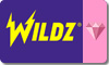 WILDZ Casino