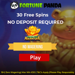 FORTUNE PANDA CASINO BONUS CODES